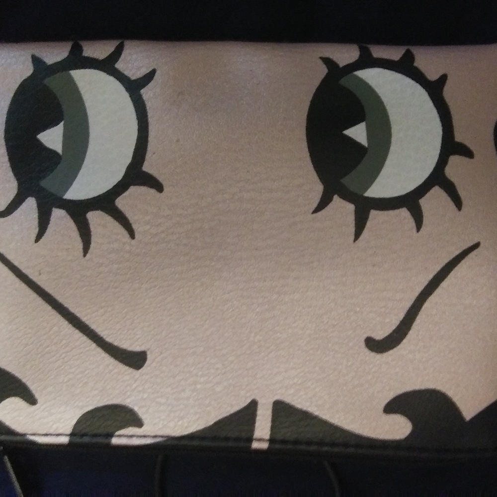 Cosmetic bag
